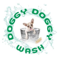 DOGGY DOGGY WASH